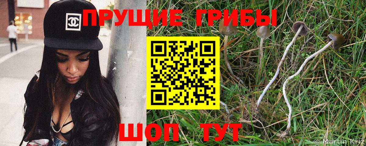Псилоцибиновые грибы MAGIC MUSHROOMS  Вход с VPN  Ялта 